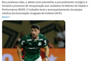 战英格兰受伤，帕尔梅拉斯官方：乌拉圭后卫皮克雷斯脚踝韧带撕裂