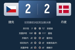 丹麦总监：错过世界杯很失望，但我们不后悔续约主教练莱默尔