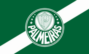 帕尔梅拉斯主席支持巴西足协建立单一联赛：有些球队自以为是皇马