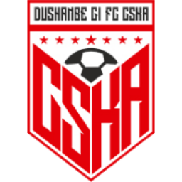  帕米尔中央陆军